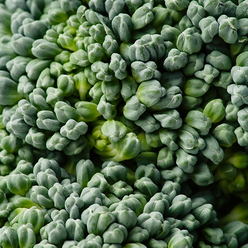 Front view of 3,3'-Diindolylmethane ingredient tile showing 120MG with broccoli background