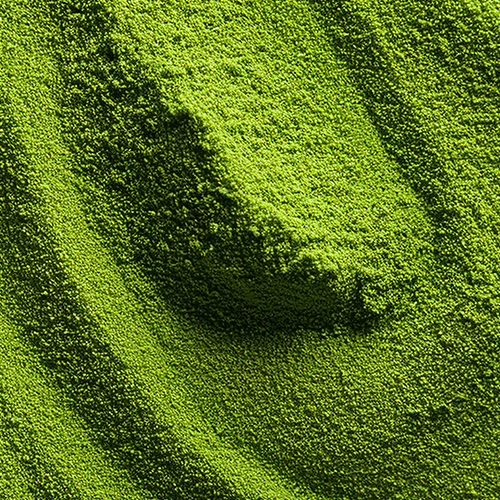 Close-up of green tea extract powder showcasing bright green color and fine, ridged texture