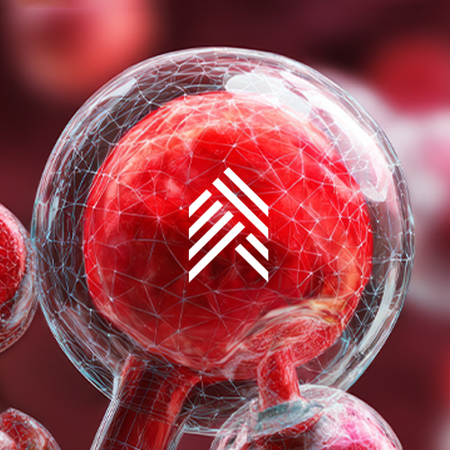 Red cellular-style illustration with white KAGED emblem representing Maxed AMINATURE L-Citrulline ingredient