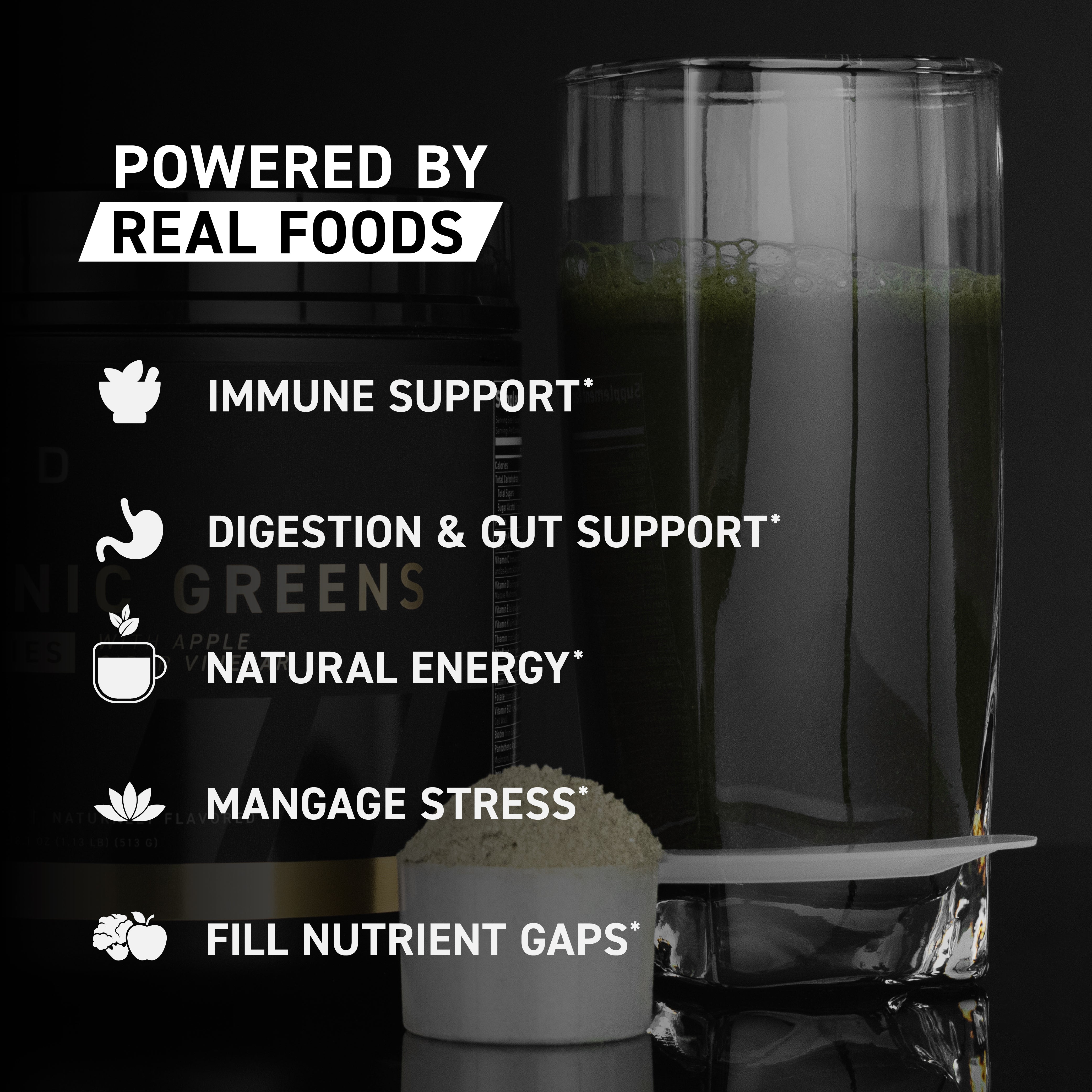 Graphic with headline Powered by Real Foods listing benefits: immune support, digestion and gut support, natural energy, manage stress, fill nutrient gaps