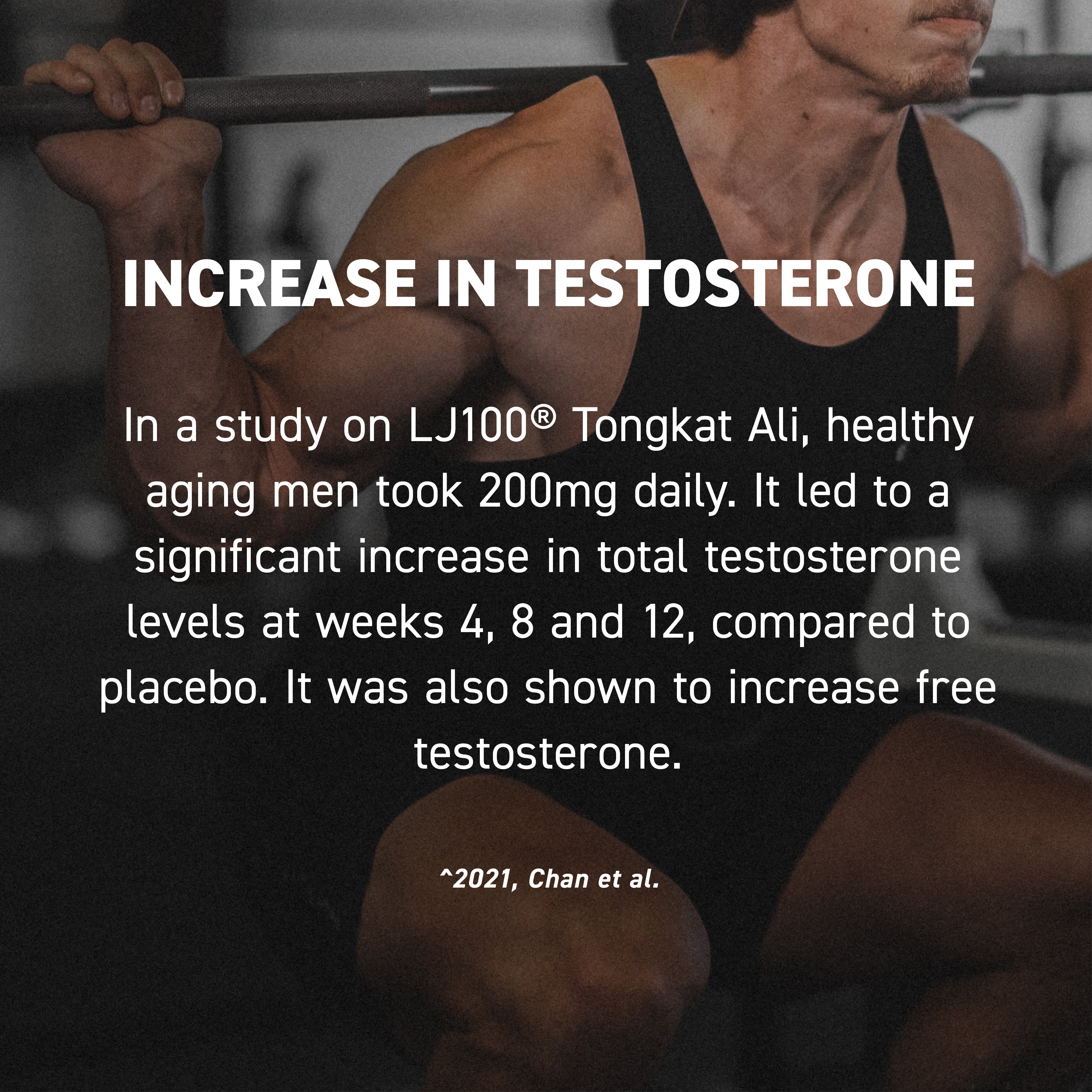 Banner with headline INCREASE IN TESTOSTERONE over a photo of a muscular man squatting summarizing a Tongkat Ali study