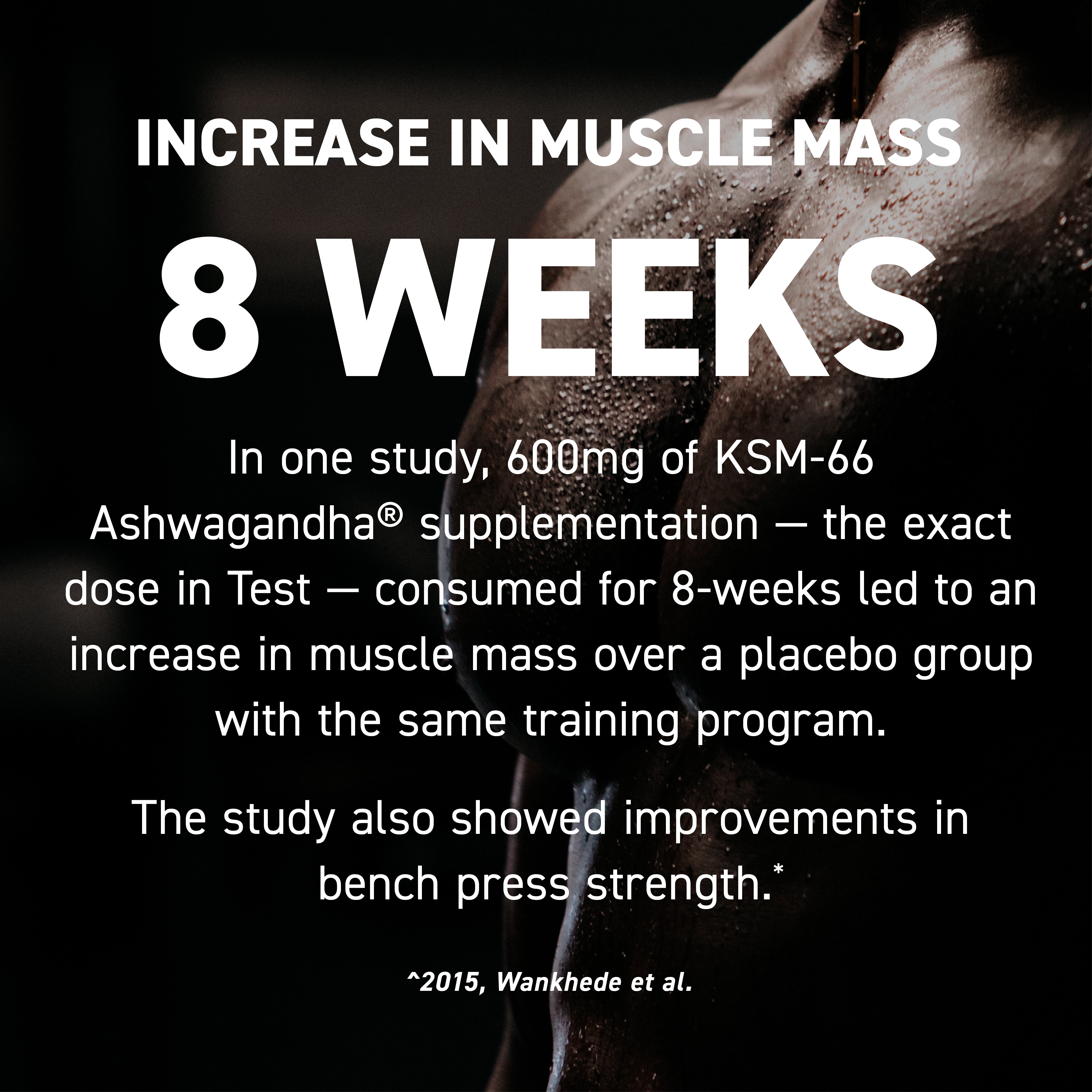 Text banner showing INCREASE IN MUSCLE MASS - 8 WEEKS over a close-up of a sweaty male torso summarizing a study result
