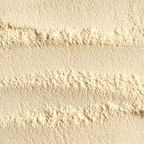 Close-up of Micellar Casein Isolate protein powder showing fine pale tan texture