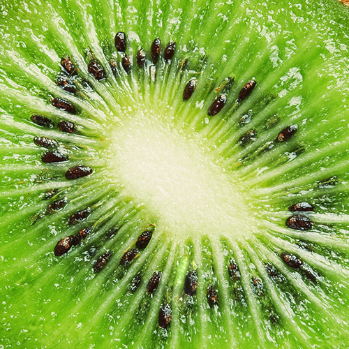 Close-up of a sliced kiwi highlighting a whole-food fruit ingredient used in the KAGED multivitamin