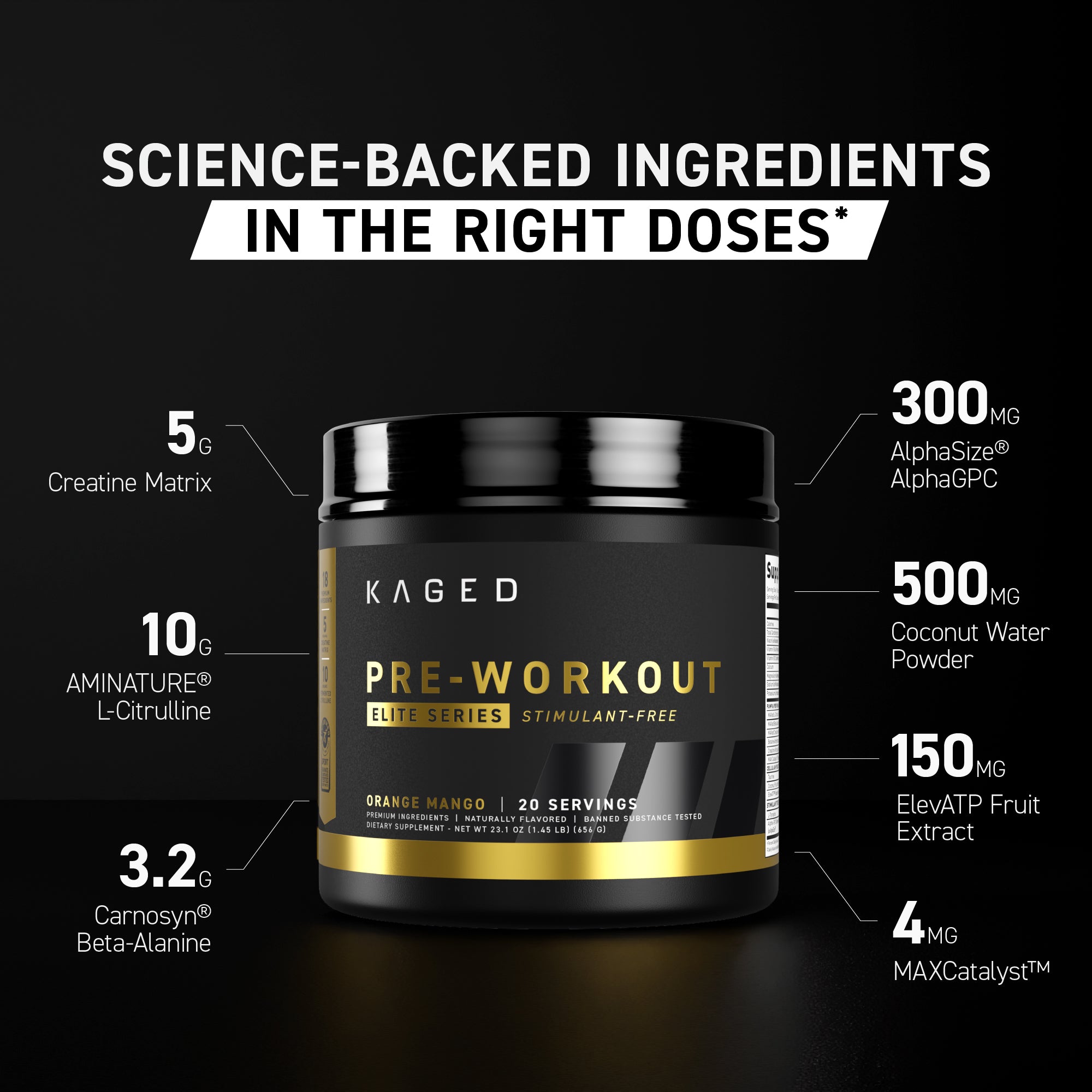 Infographic showing Pre-Workout Elite stimulant-free tub with headline Science-backed ingredients in the right doses and labeled ingredient dosages