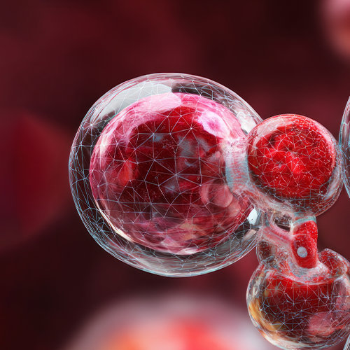 Red molecular spheres depicting L-citrulline supplement ingredient floating against a dark red background