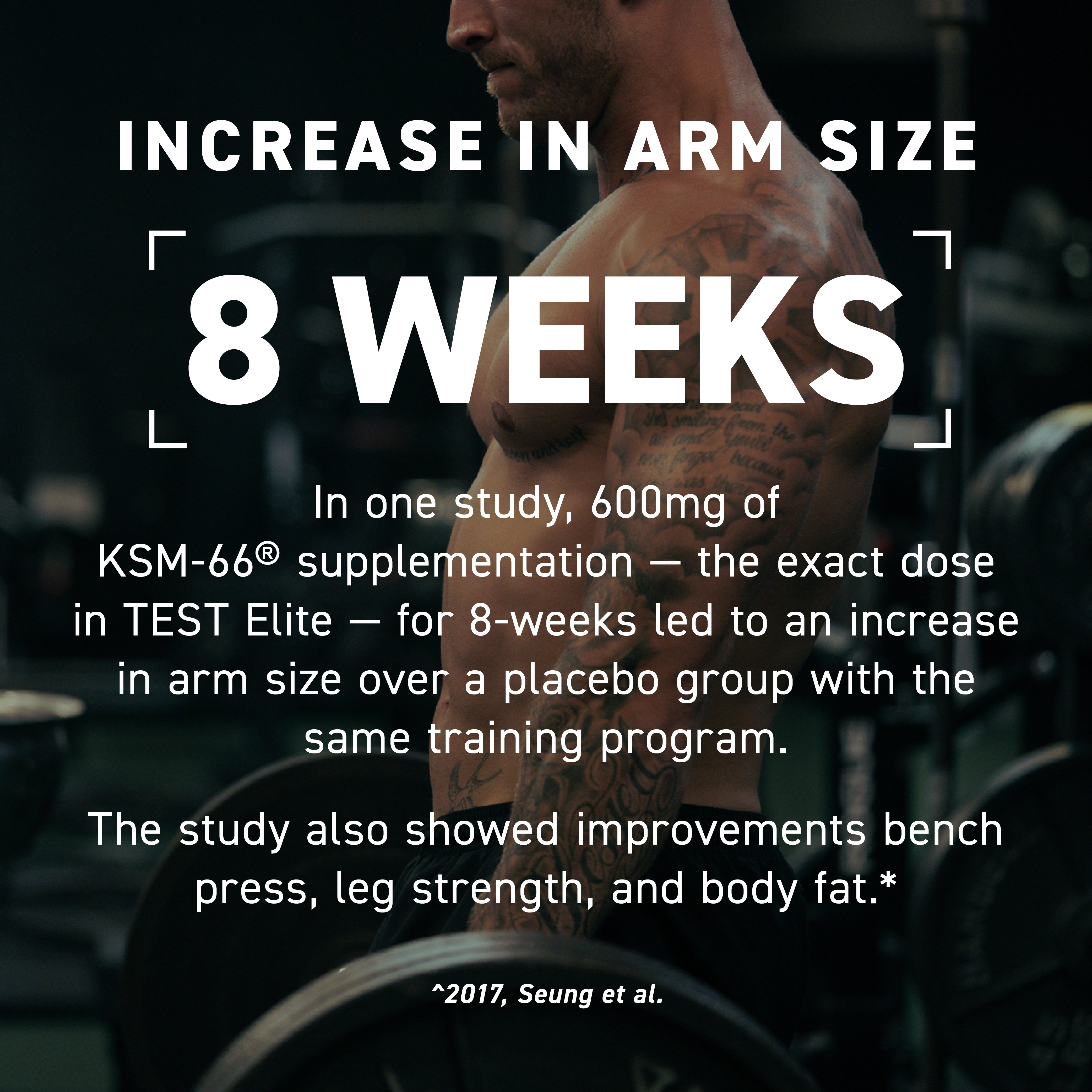 Promotional banner showing headline 'INCREASE IN ARM SIZE' and large '8 WEEKS' over a shirtless tattooed man in a gym