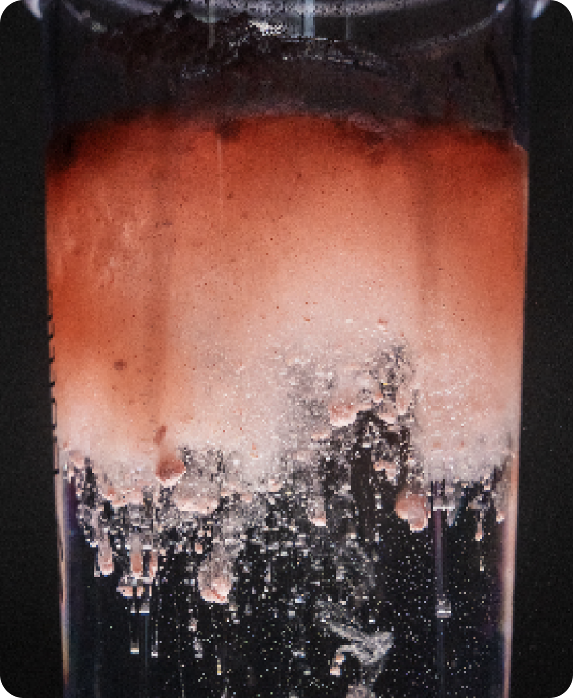 Close-up of Pre-Kaged pre-workout dissolving in a glass showcasing pink foam and effervescent bubbles against a dark background